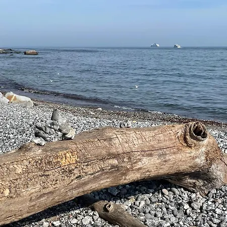 Windrose Nr 1 Sassnitz